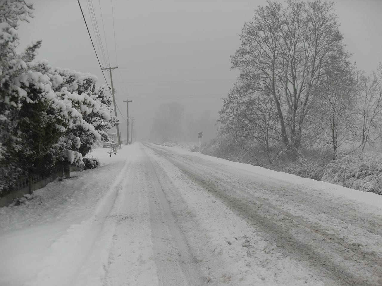 Winter